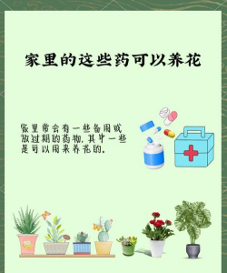 家庭养花用生根粉