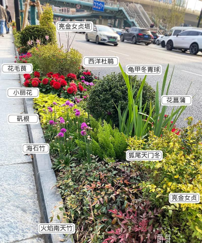 公路边养花设计