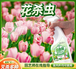 家庭养花用生根粉