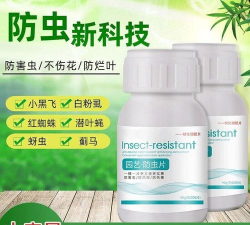 家庭养花用生根粉