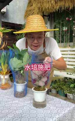 家庭养花用生根粉