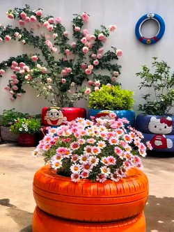 家庭养花用生根粉