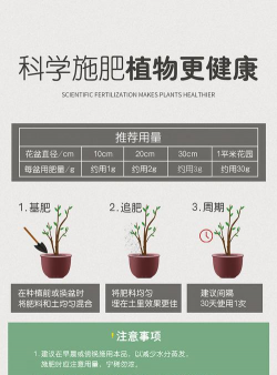 家庭养花用生根粉