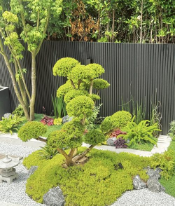 佛甲草用什么花盆