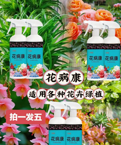 家庭养花用生根粉