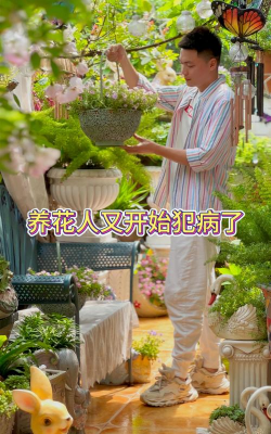 家庭养花用生根粉