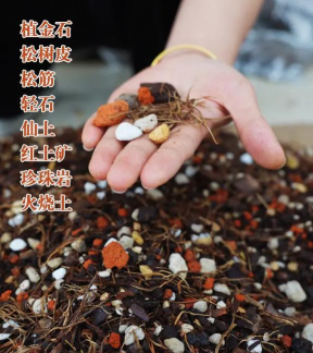 家庭养花用生根粉