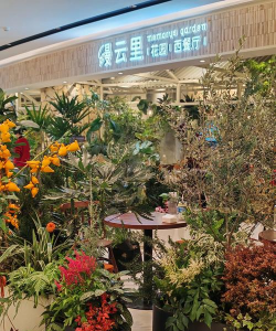 家庭养花用生根粉