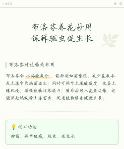 家庭养花用生根粉