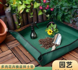 芍药花怎么养，掌握关键要点，花开更鲜艳