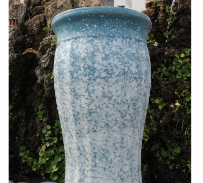 芍药花怎么养，掌握关键要点，花开更鲜艳