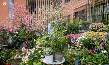 绿化景观设计，提升环境品质，创造宜人空间