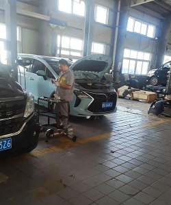 葡萄栽培，掌握关键技术，实现优质丰产