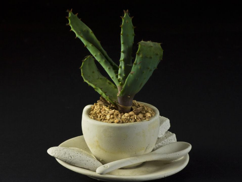 葡萄栽培，掌握关键技术，实现优质丰产