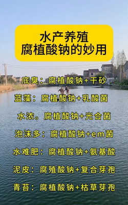 绿化景观设计，提升环境品质，创造宜人空间