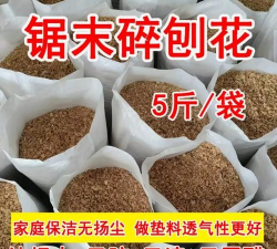 芍药花怎么养，掌握关键要点，花开更鲜艳