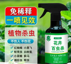 养花杀虫绿色药