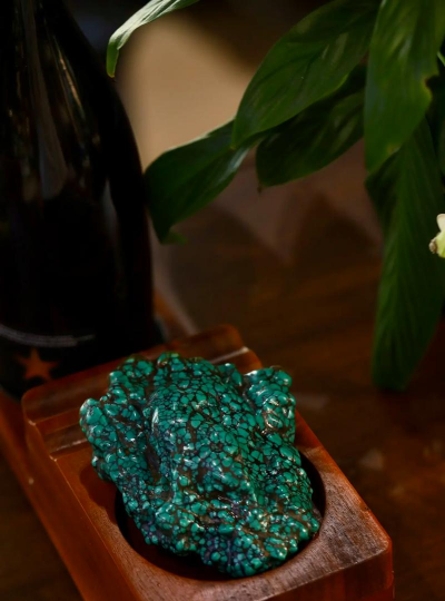 芍药花怎么养，掌握关键要点，花开更鲜艳