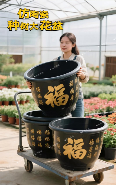 芍药花怎么养，掌握关键要点，花开更鲜艳