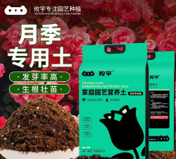 葡萄栽培，掌握关键技术，实现优质丰产