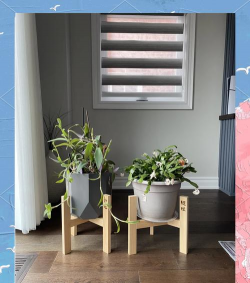 葡萄栽培，掌握关键技术，实现优质丰产