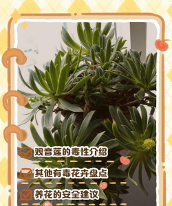 葡萄栽培，掌握关键技术，实现优质丰产