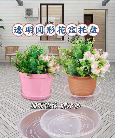 葡萄栽培，掌握关键技术，实现优质丰产