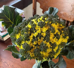 栽培的意思，核心概念，通俗理解