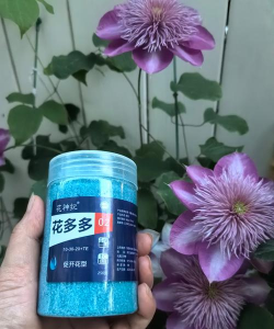 玫瑰花怎么养才不会枯萎，掌握浇水施肥技巧，轻松延长花期