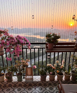 别墅园林绿化设计，打造私密空间，提升居住品质