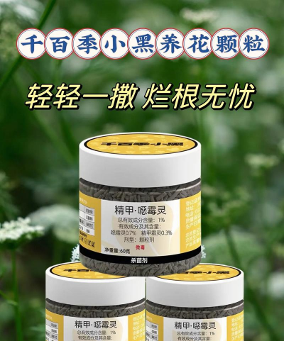 别墅园林绿化设计，打造私密空间，提升居住品质