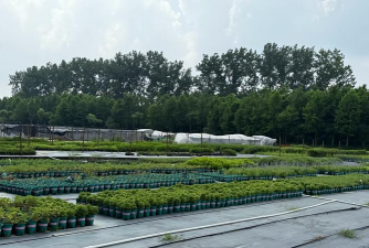 绿化景观设计，提升环境品质，创造宜人空间