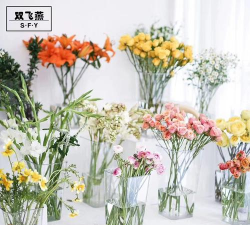 葡萄栽培，掌握关键技术，实现优质丰产