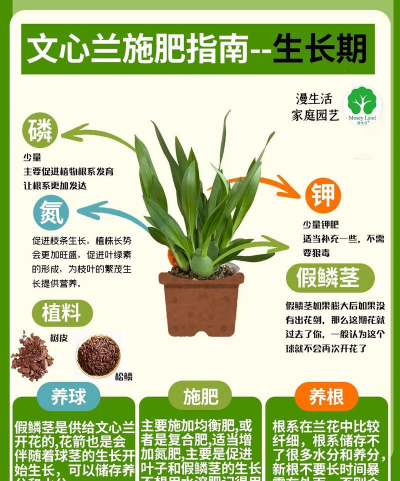 绿化景观设计，提升环境品质，创造宜人空间