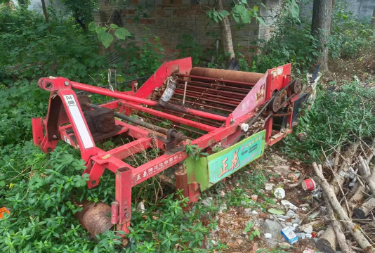 别墅园林绿化设计，打造私密空间，提升居住品质