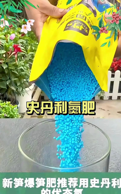 绯花玉怎么养，掌握关键技巧，轻松养出好状态