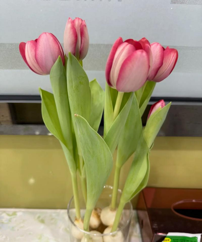 别墅园林绿化设计，打造私密空间，提升居住品质