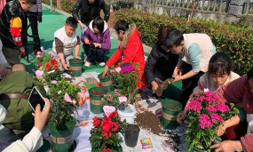 芍药花怎么养，掌握关键要点，花开更鲜艳