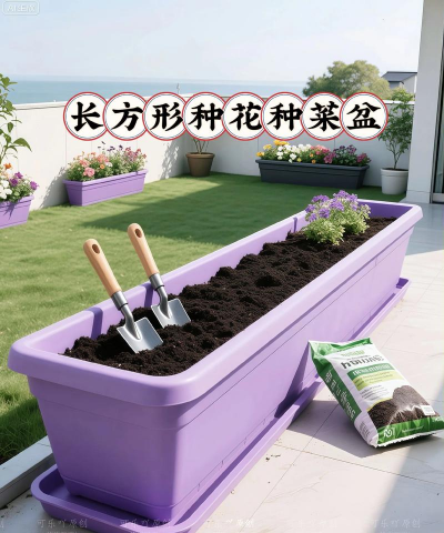 芍药花怎么养，掌握关键要点，花开更鲜艳