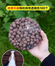 芍药花怎么养，掌握关键要点，花开更鲜艳