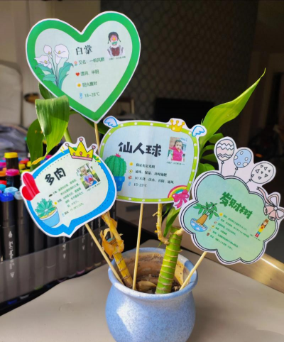 葡萄栽培，掌握关键技术，实现优质丰产