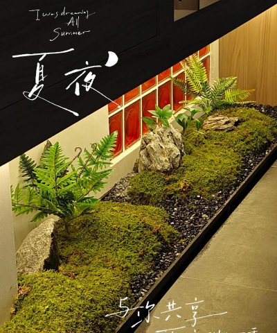 绯花玉怎么养，掌握关键技巧，轻松养出好状态