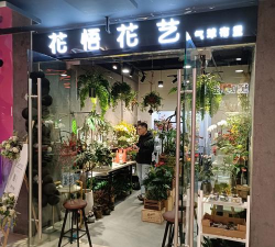 兰草花怎么养，掌握关键技巧，轻松培育美丽花朵