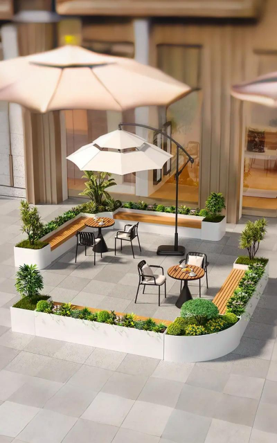 芍药花怎么养，掌握关键要点，花开更鲜艳