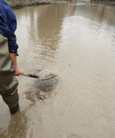 芍药花怎么养，掌握关键要点，花开更鲜艳