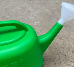 芍药花怎么养，掌握关键要点，花开更鲜艳