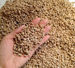 葡萄栽培，掌握关键技术，实现优质丰产