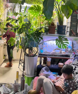 葡萄栽培，掌握关键技术，实现优质丰产