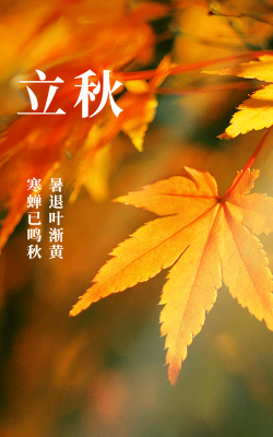 绯花玉怎么养，掌握关键技巧，轻松养出好状态