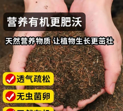 葡萄栽培，掌握关键技术，实现优质丰产